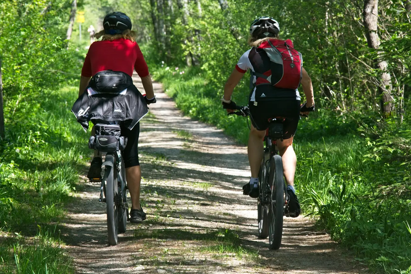 Dwie osoby jadące rowerami po leśnej drodze